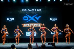 WELLNESS 163